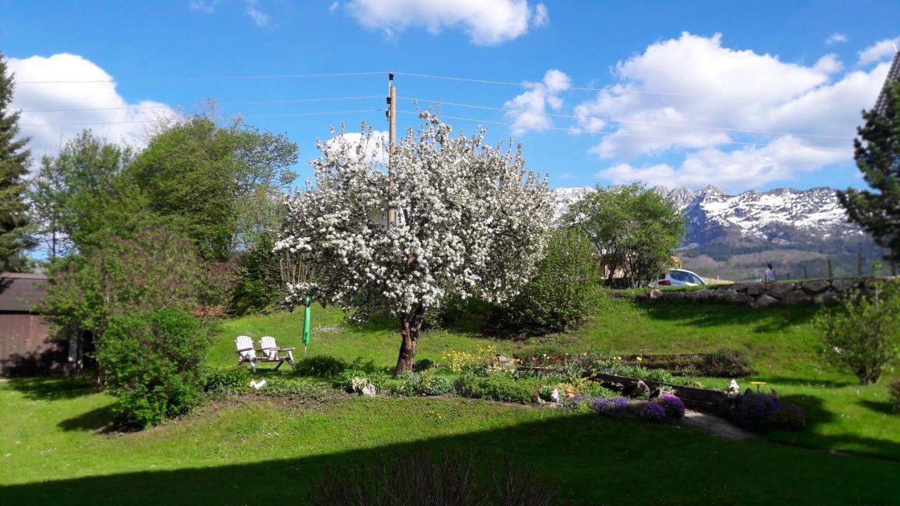 Appartementhaus Theresia Bad Mitterndorf Eksteriør bilde