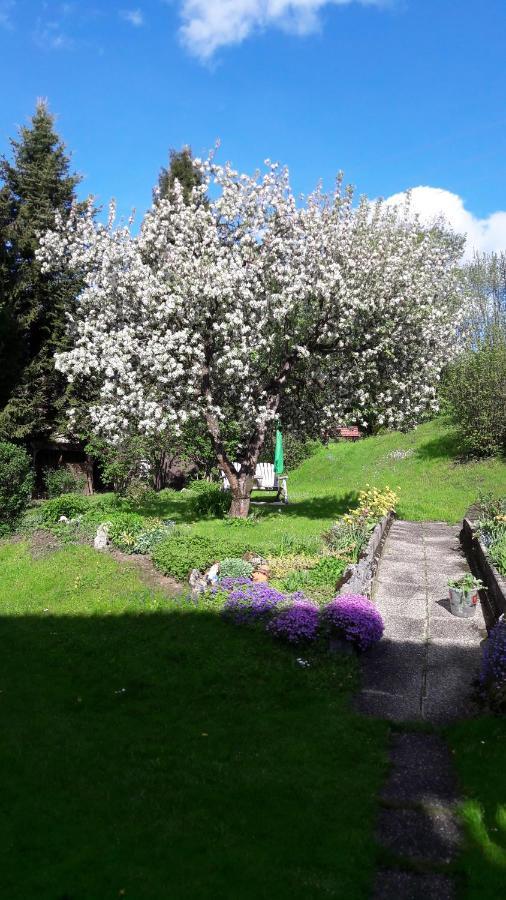 Appartementhaus Theresia Bad Mitterndorf Eksteriør bilde